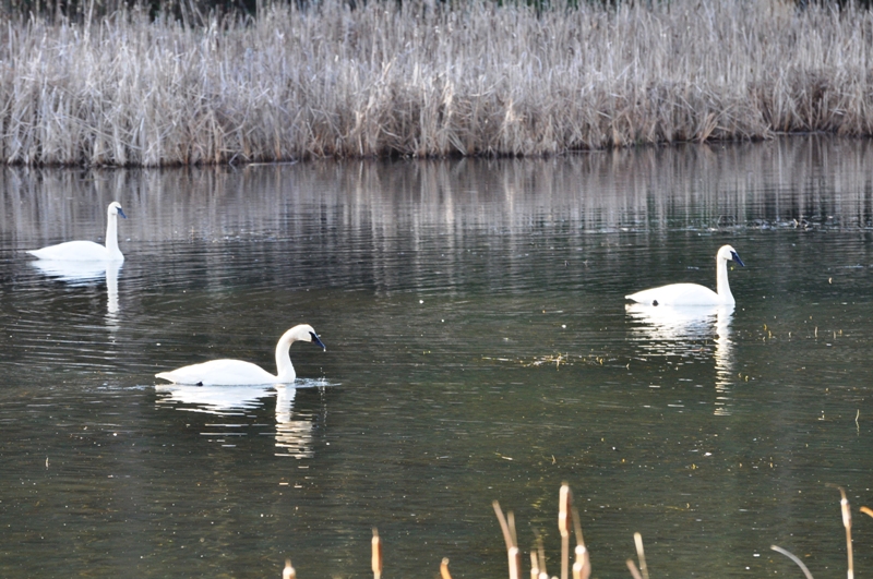 DSC_0024.JPG