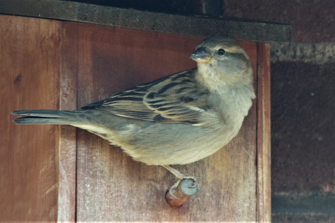 DSC_0030.jpg