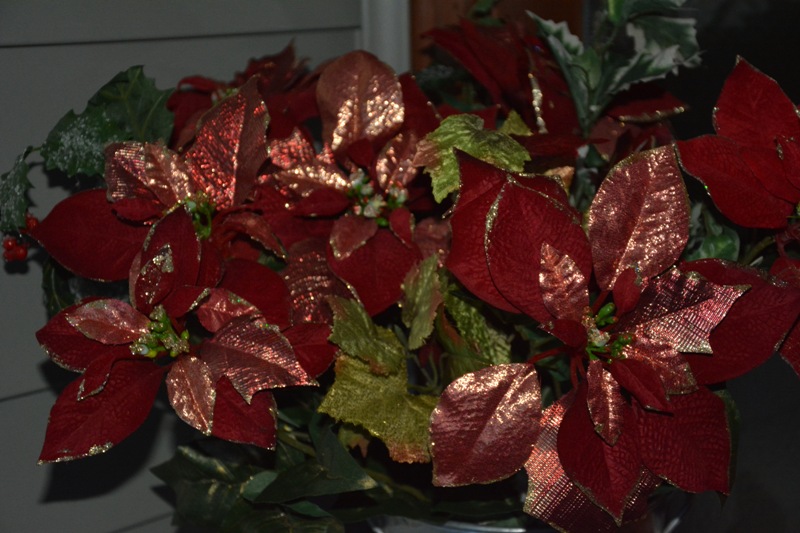 DSC_0052.JPG