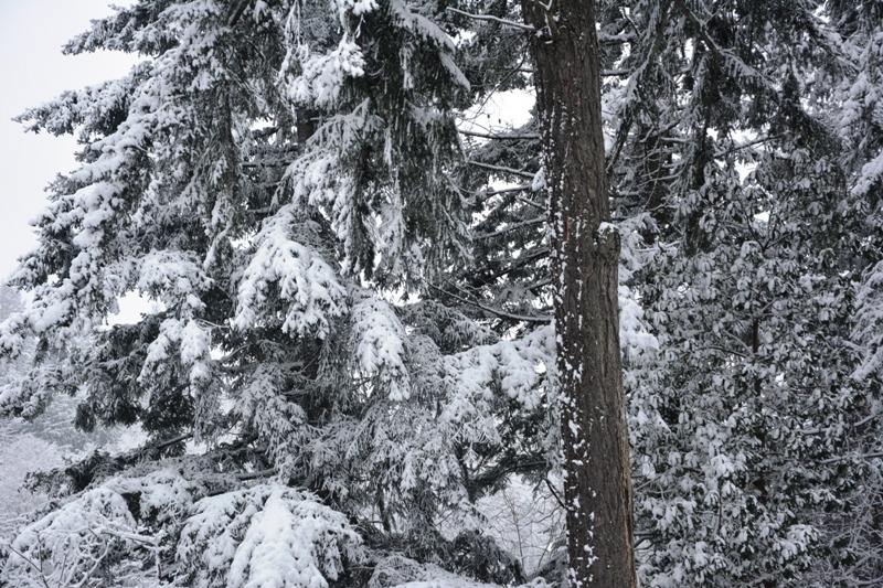 DSC_0060.JPG