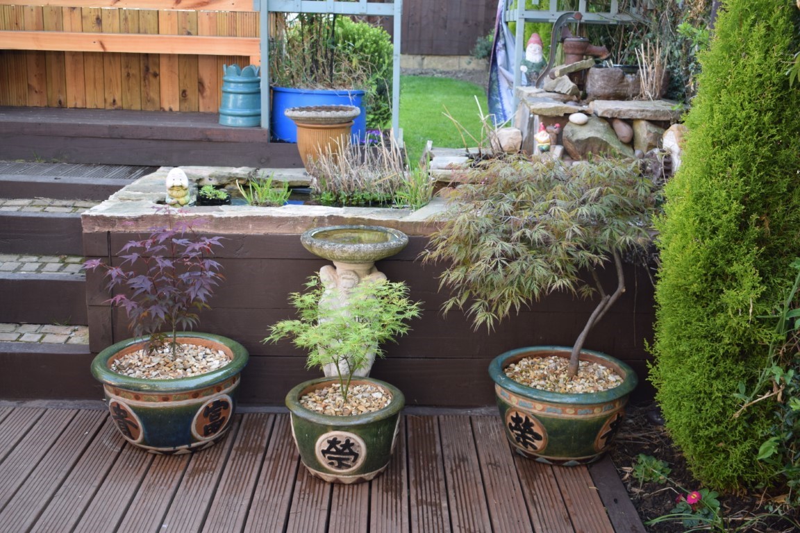 DSC_0071.JPG