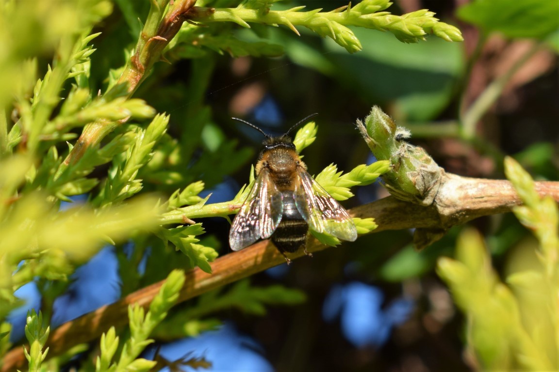 DSC_0080.jpg