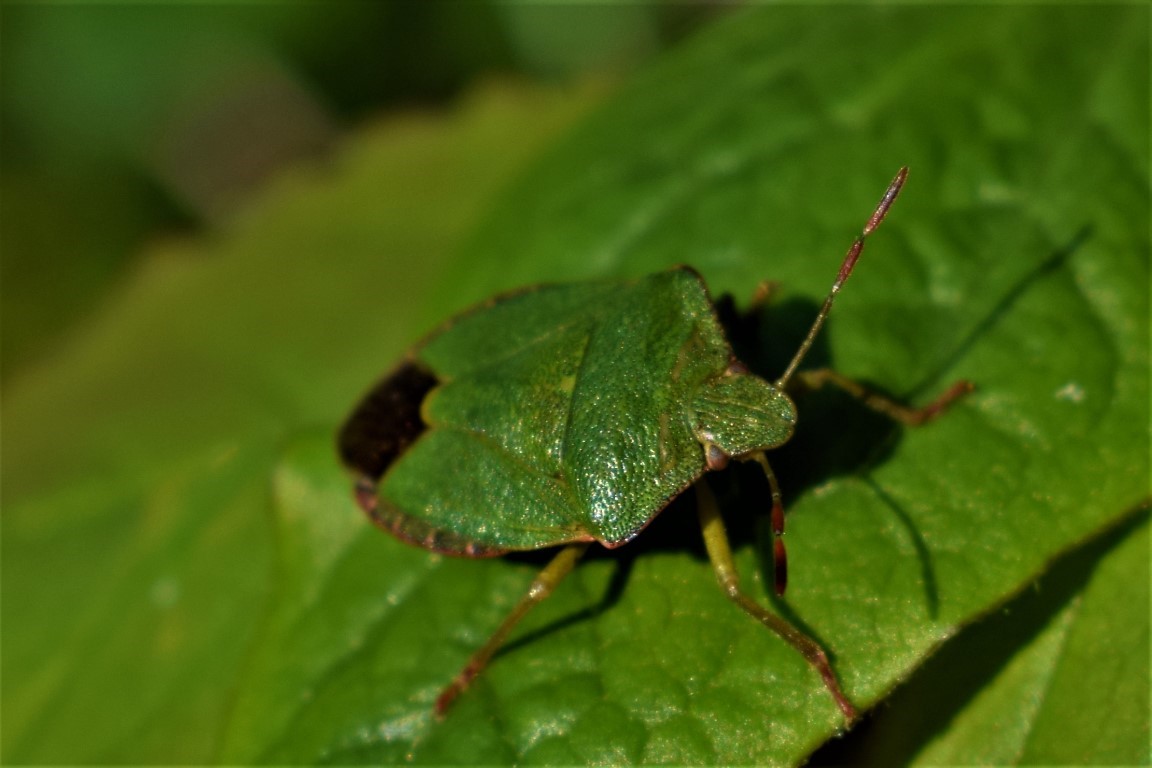 DSC_0083.jpg