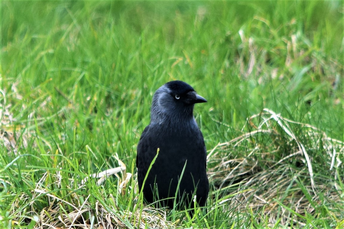 DSC_0124.jpg