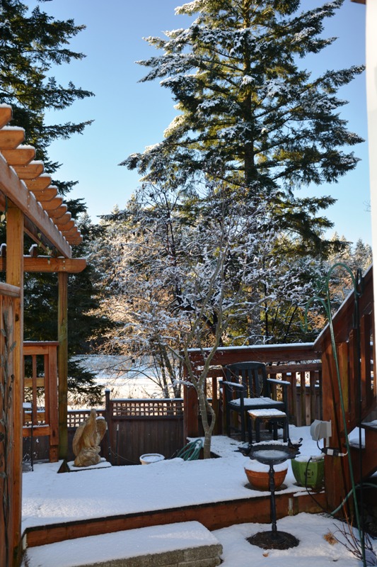 DSC_0171.JPG