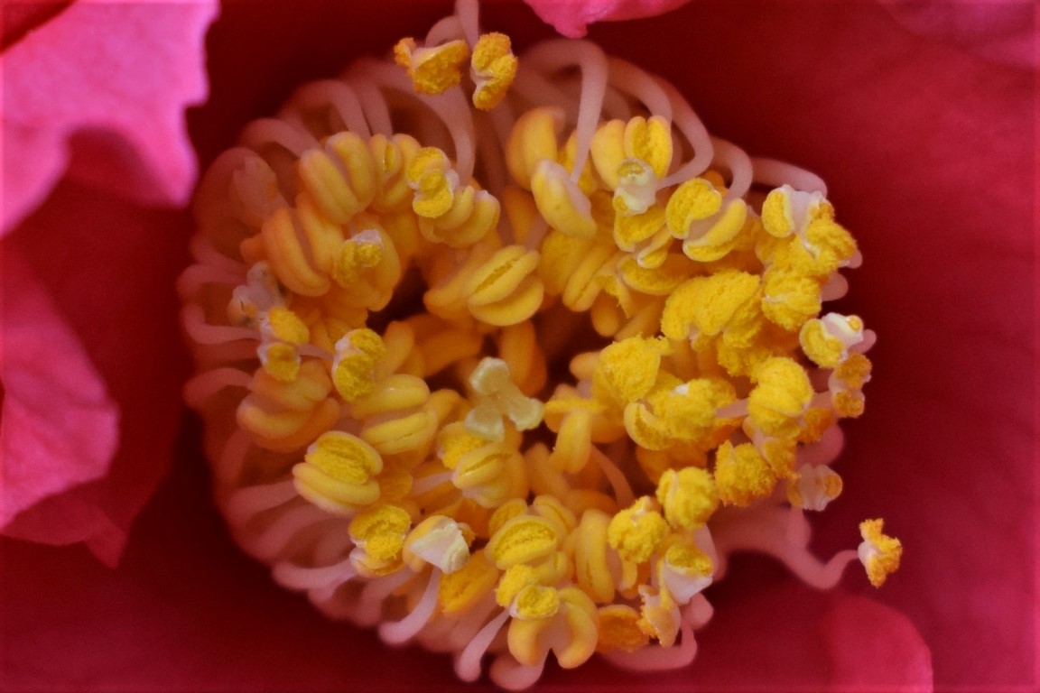 DSC_0175.jpg