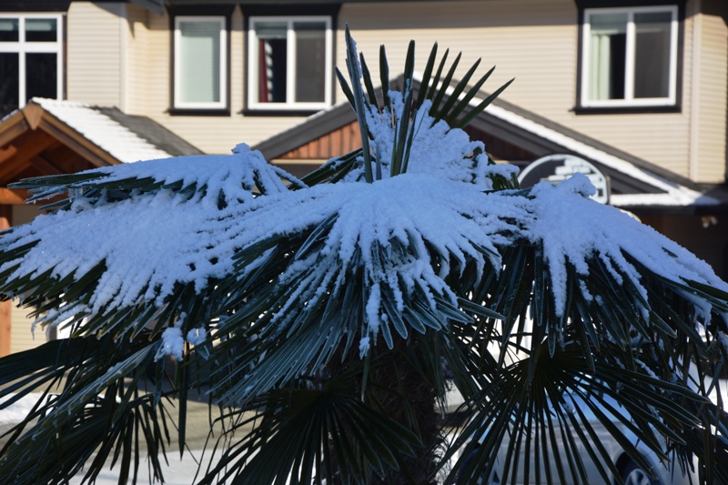 DSC_0193.JPG