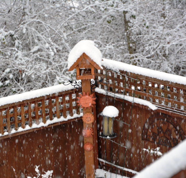 DSC_0442.JPG