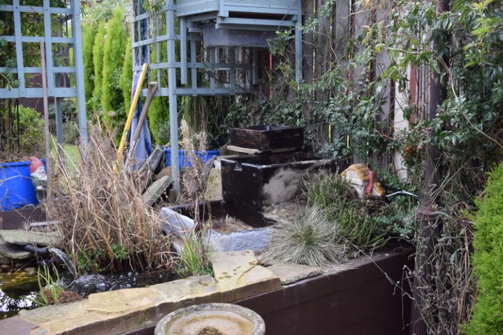 DSC_0471.JPG
