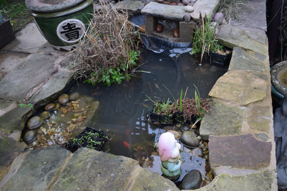 DSC_0549.JPG