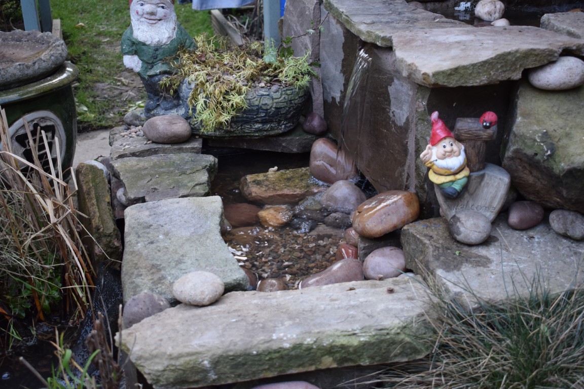 DSC_0551.JPG
