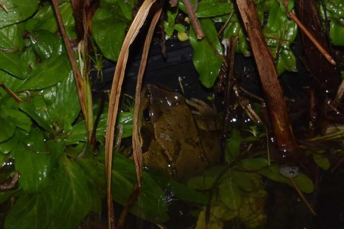 DSC_0555.jpg