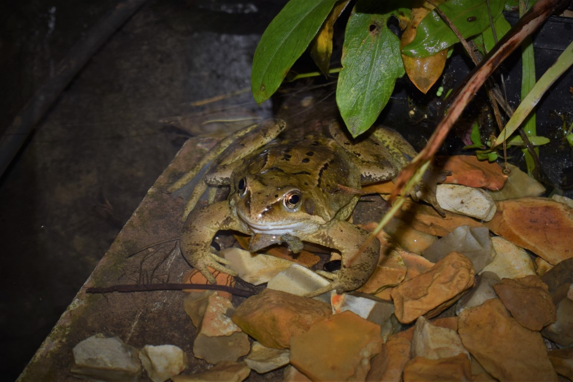DSC_0577.jpg