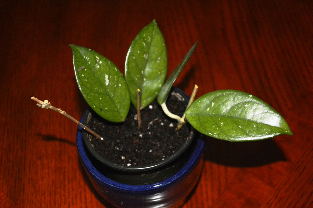 DSC_1422.JPG