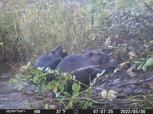 DSCF0174.JPG