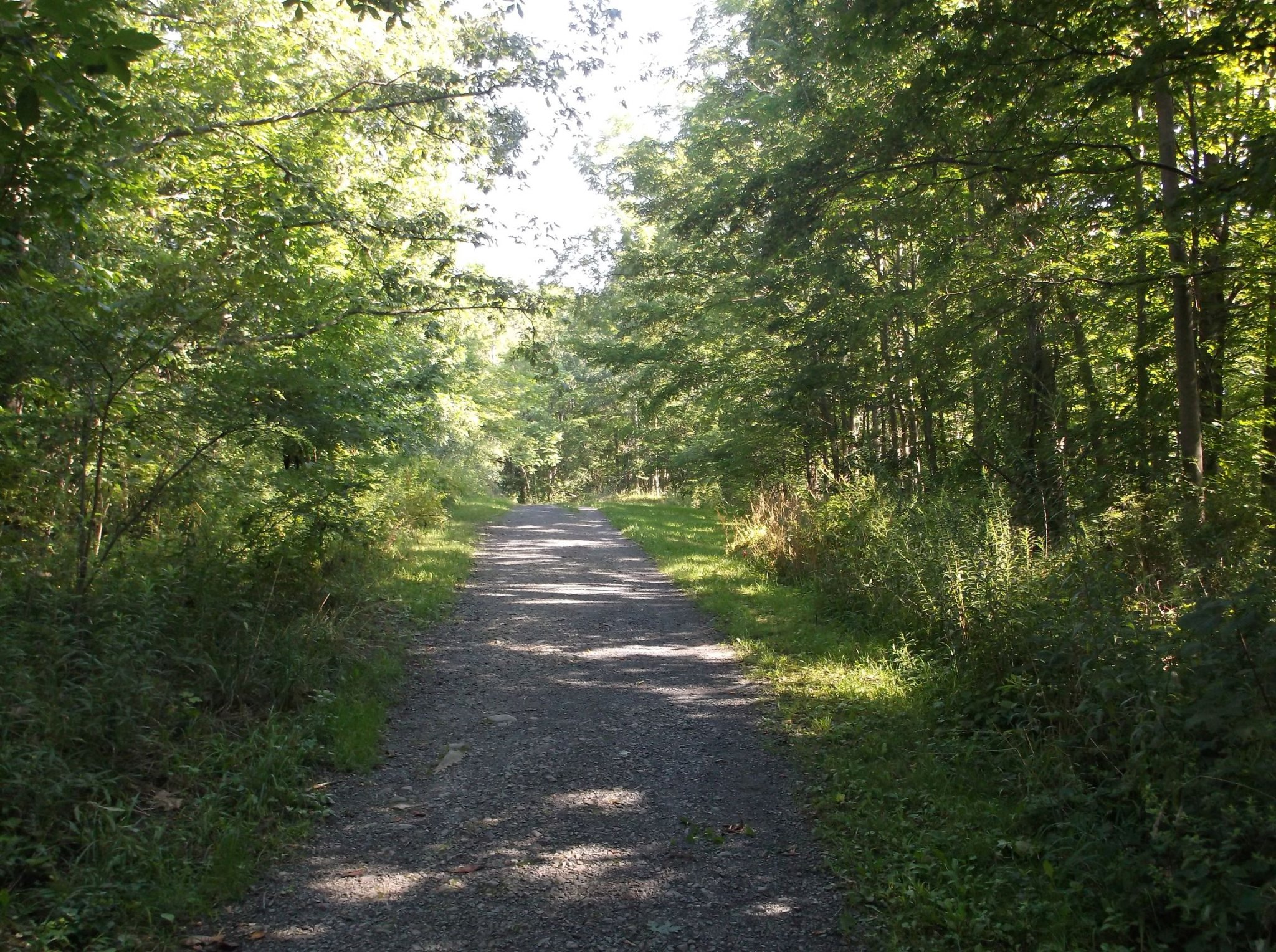 DSCF0361.jpg