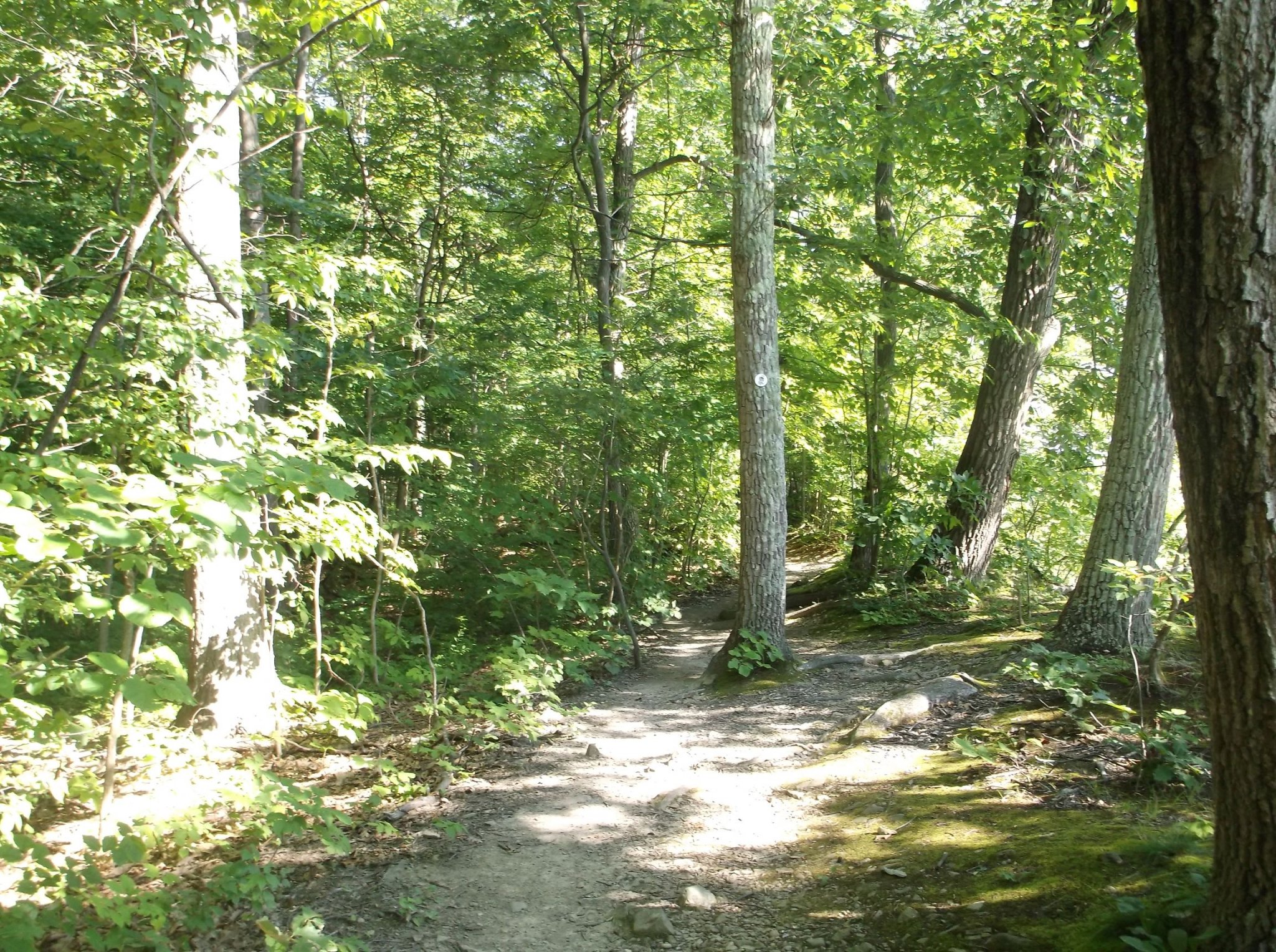 DSCF0366.jpg