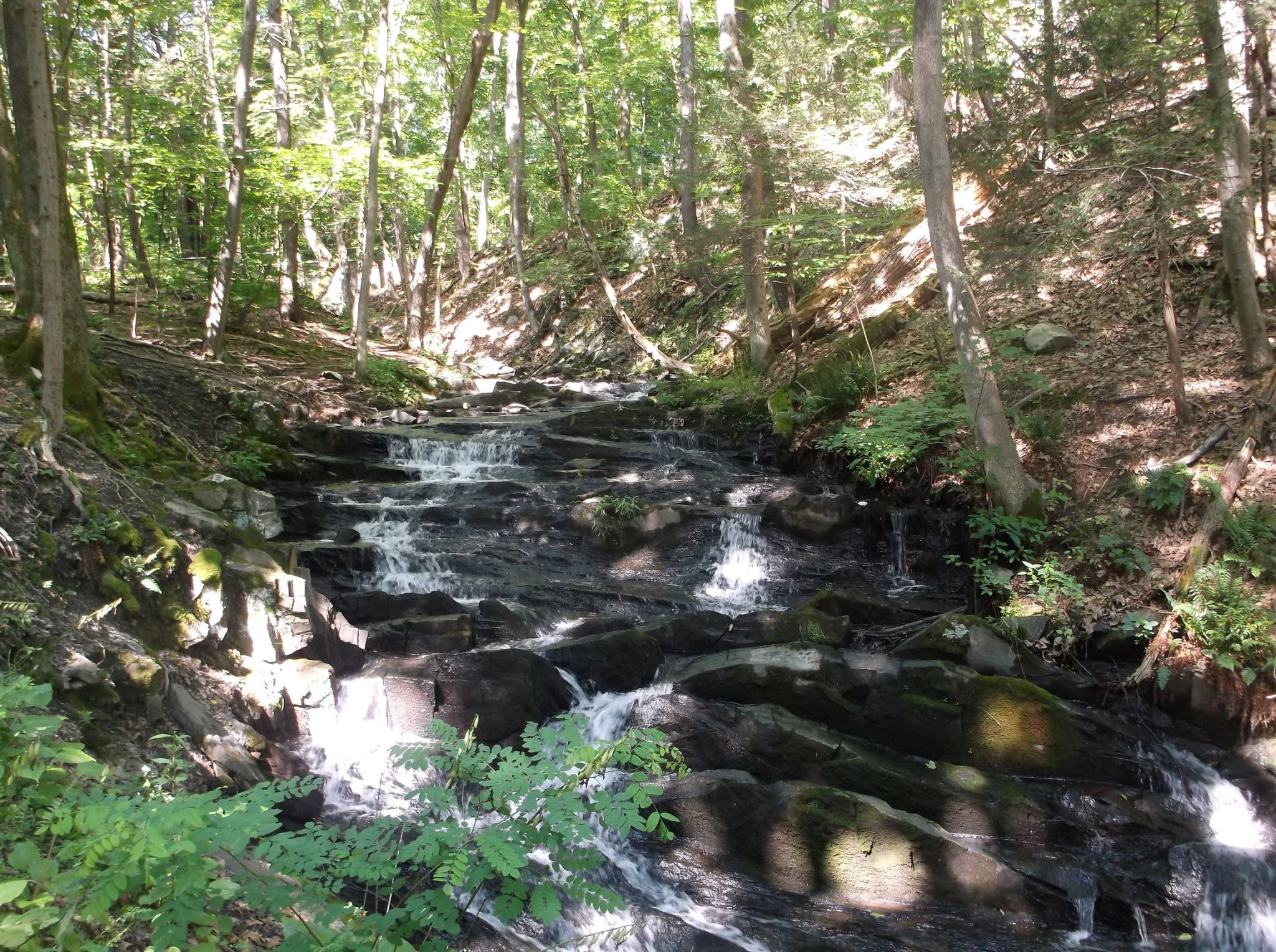 DSCF0377.jpg