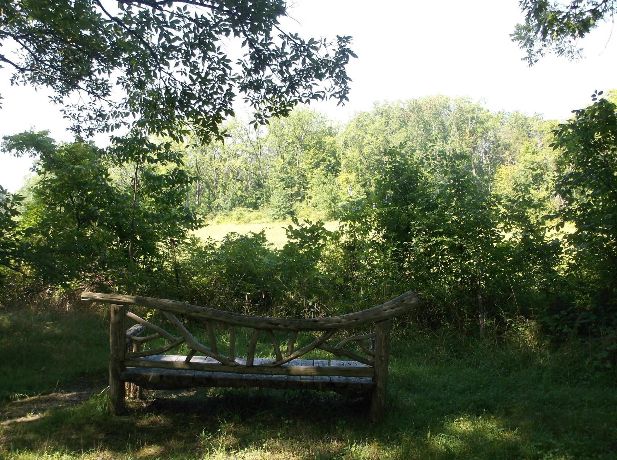 DSCF0379.jpg
