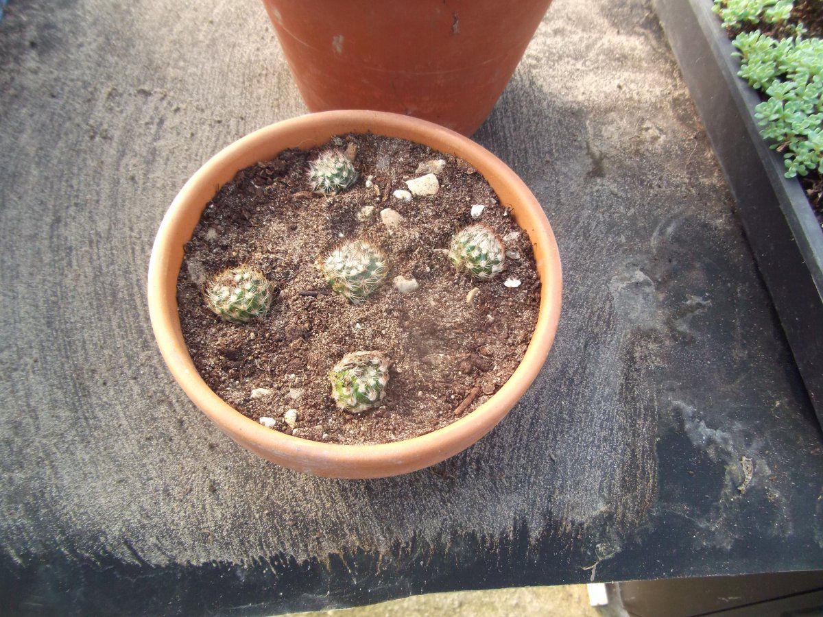 DSCF1389.JPG