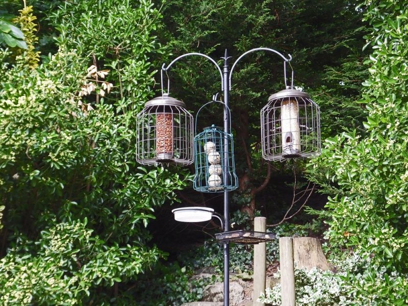DSCF2045.JPG