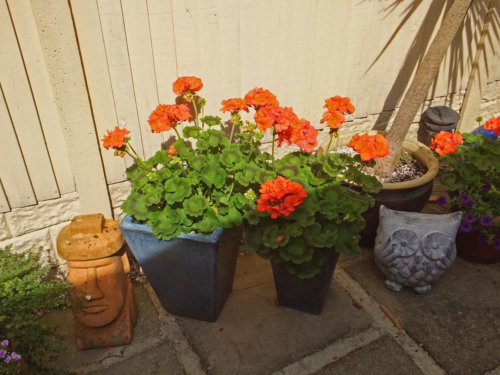 DSCF2199.JPG