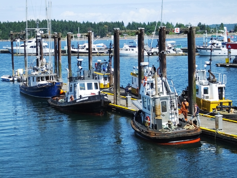 DSCF2341.JPG