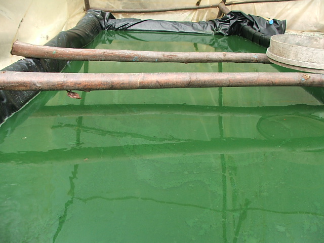 dscf2368.jpg