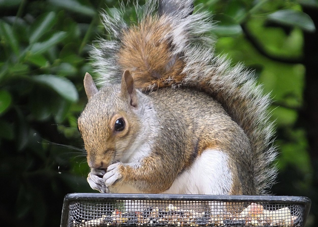 DSCF2554.JPG