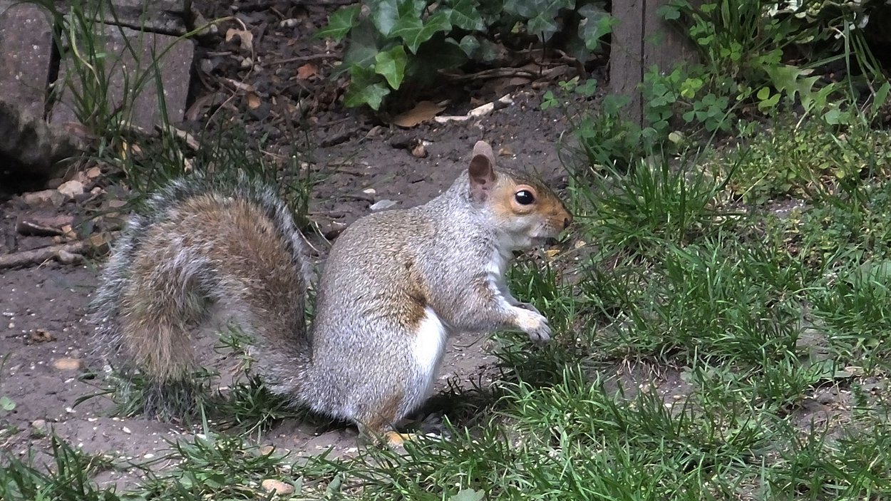 DSCF2560.JPG