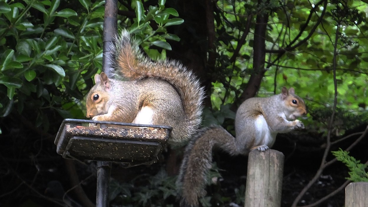 DSCF2561.JPG