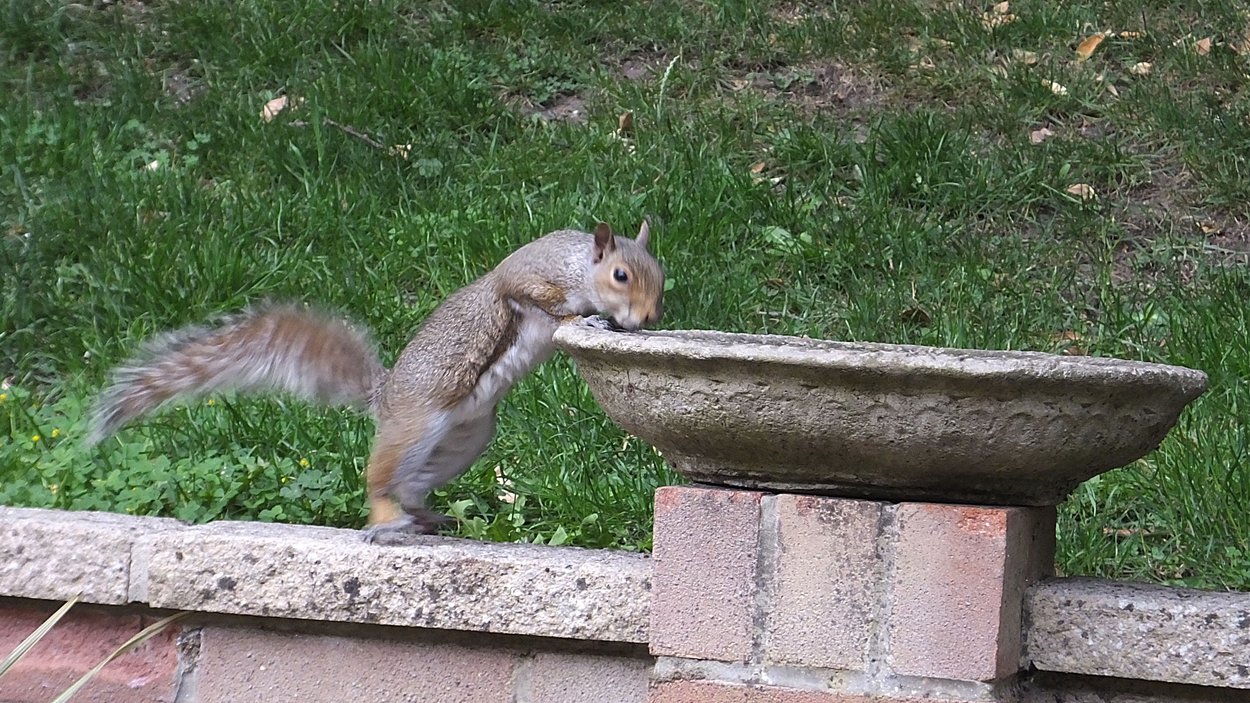 DSCF2565.JPG