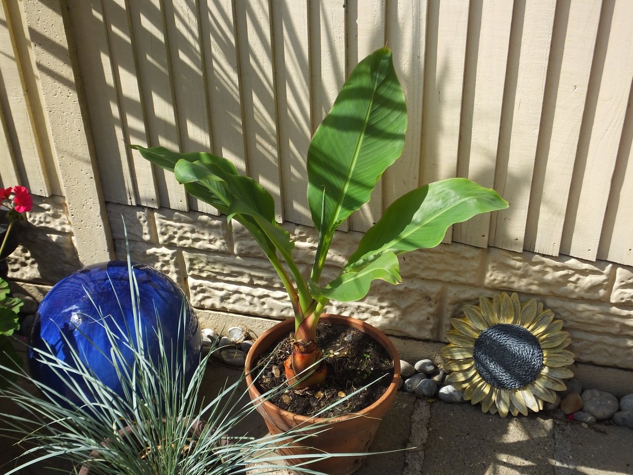 DSCF2941.JPG