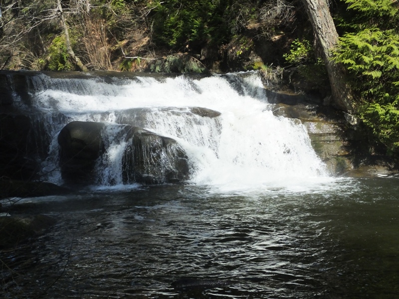 DSCF4633.JPG