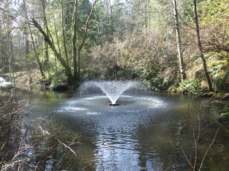 DSCF4636.JPG