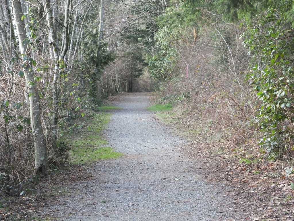 DSCF5658.JPG