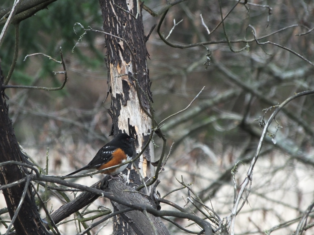 DSCF5682.JPG