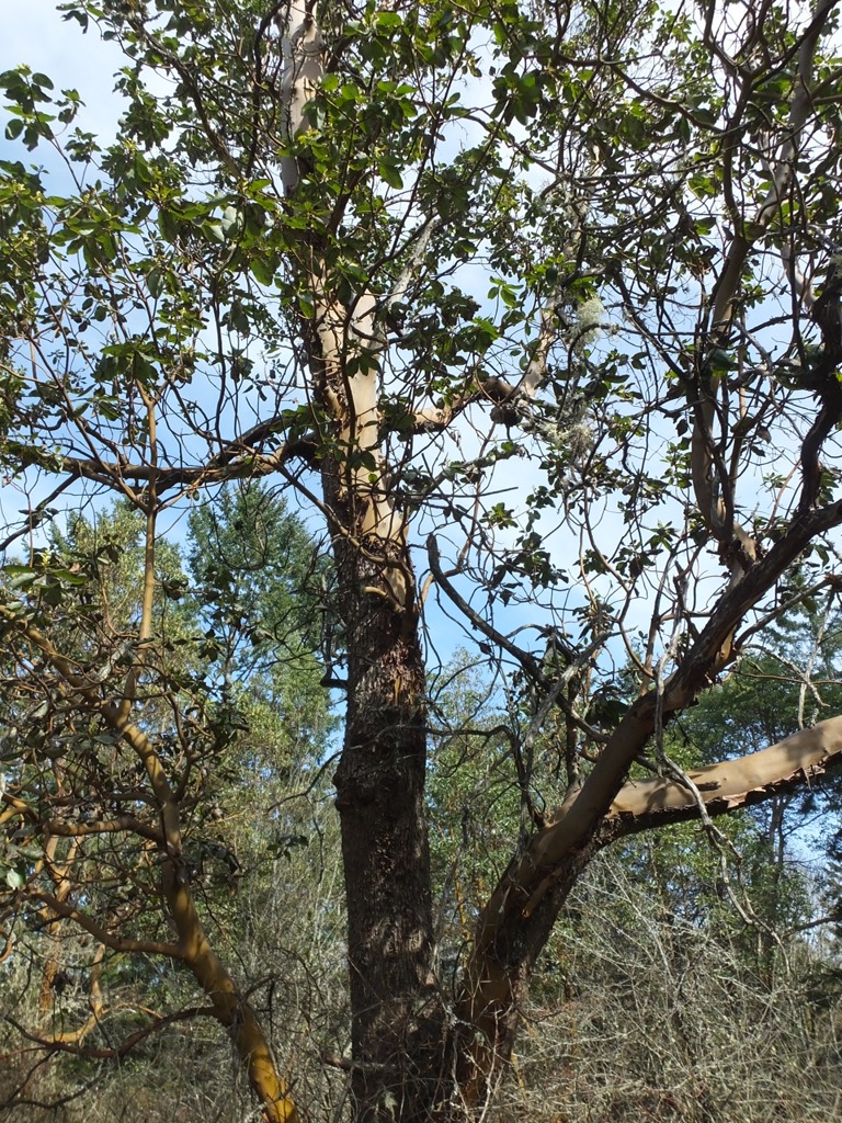 DSCF5689.JPG