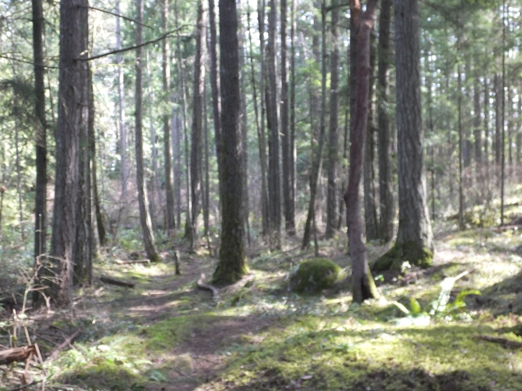 DSCF5694.JPG