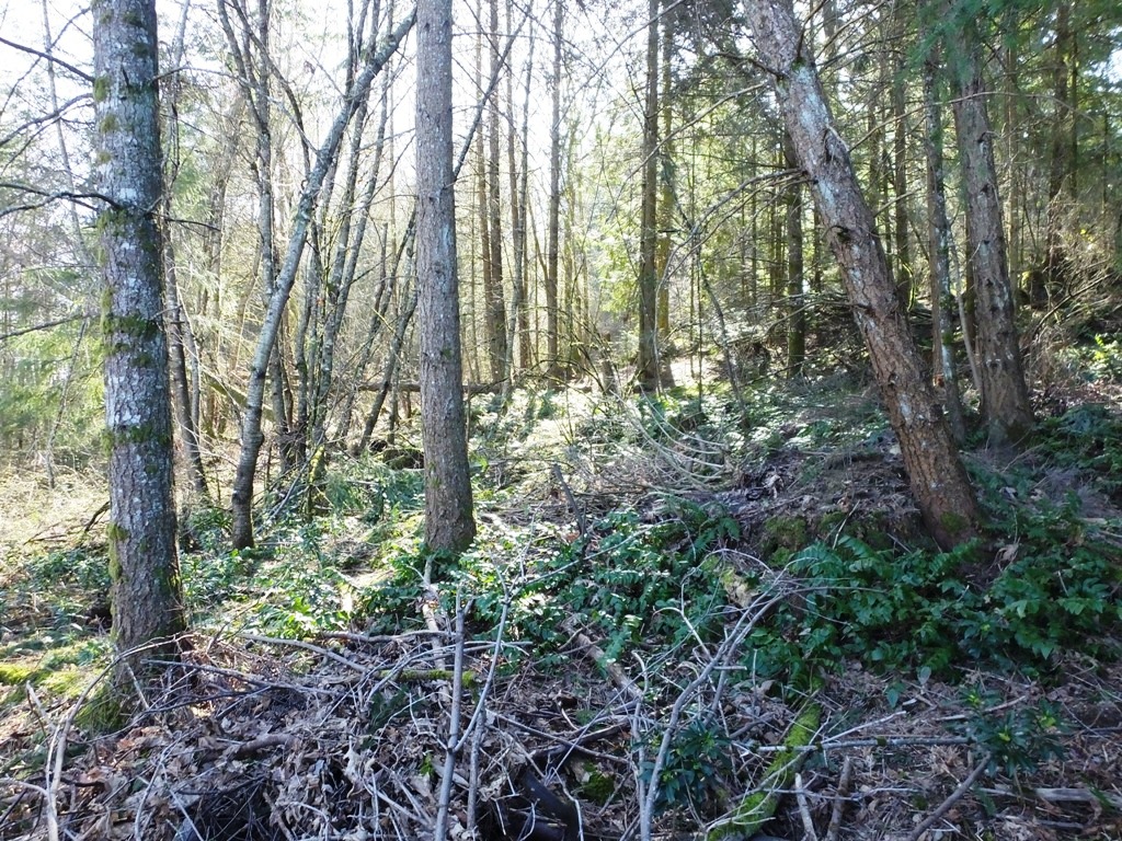 DSCF5717.JPG