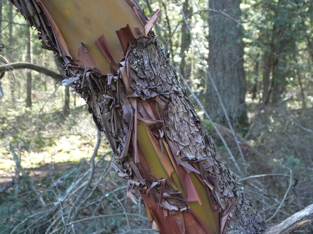 DSCF5719.JPG