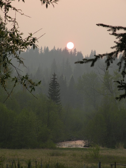 DSCN0103.JPG
