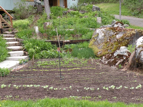DSCN0118.JPG