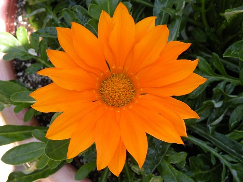 DSCN0129.JPG