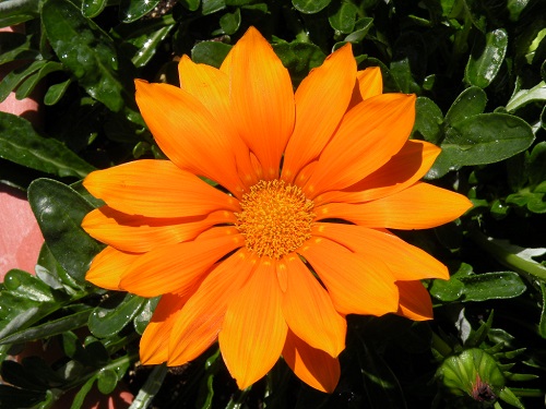 DSCN0130.JPG
