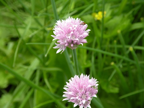 DSCN0147.JPG