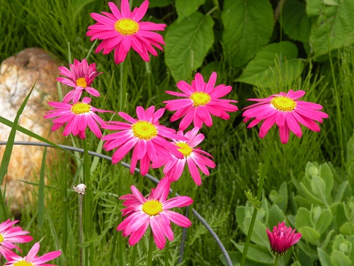 DSCN0161.JPG