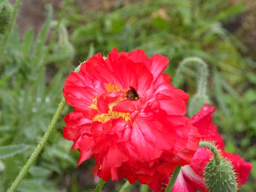 DSCN0267.JPG