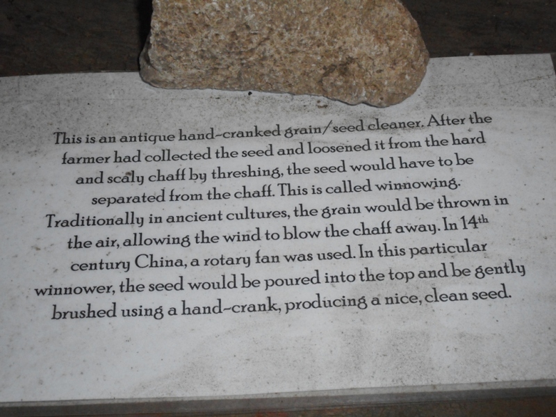 DSCN0596.JPG