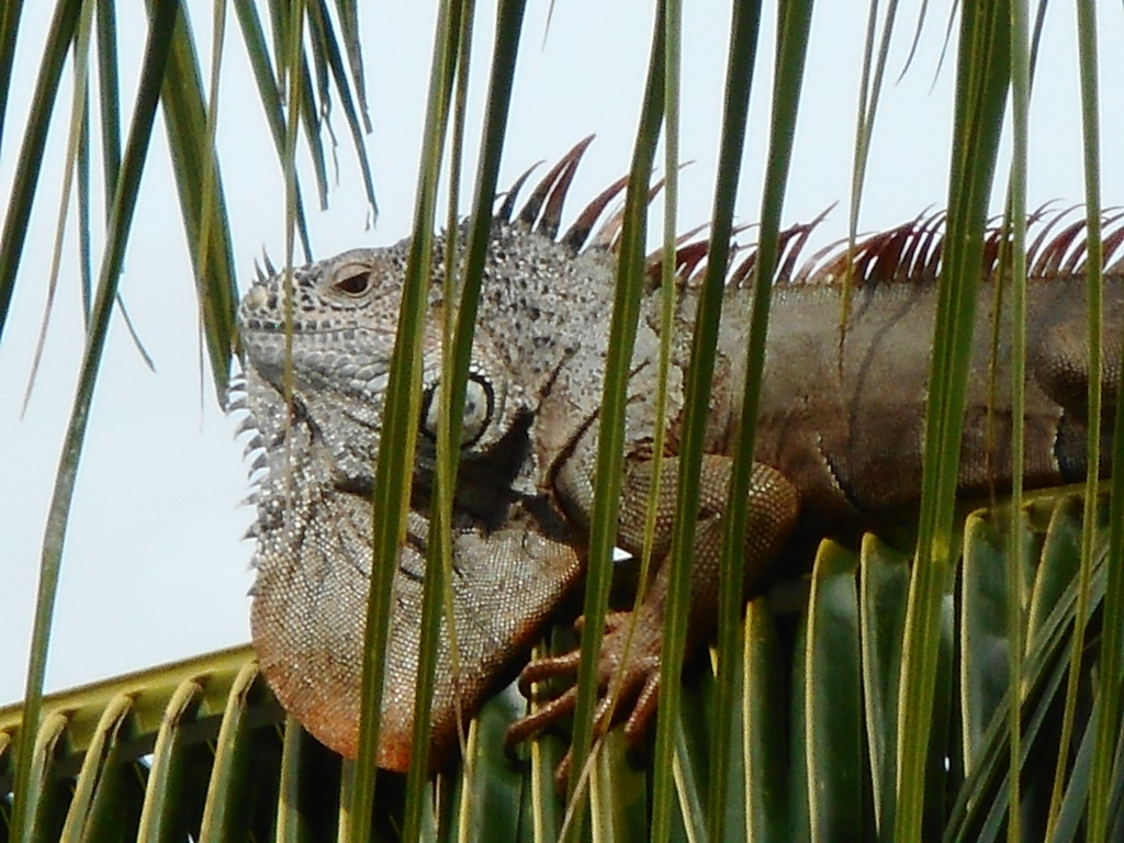 DSCN1035.JPG